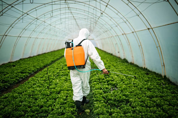 Best Best Pest Control Companies  in Lorado City, CO