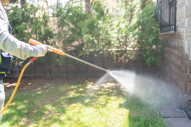 Trusted Colorado City, CO Pest Control Experts
