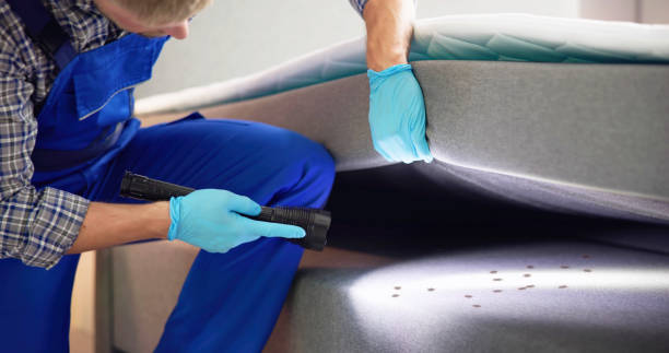 Best Pest Control Near Me in Colorado City, CO