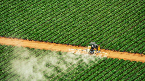 Best Pest Inspection Near Me  in Lorado City, CO