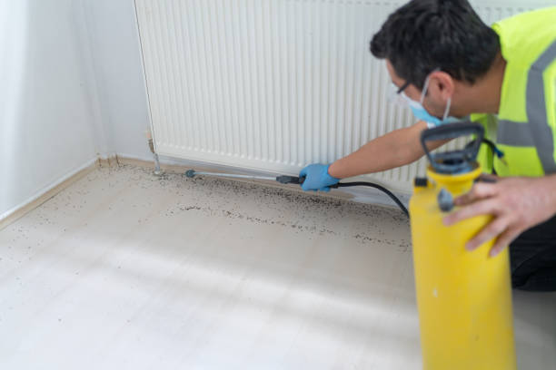 Best Pest Control for Businesses  in Lorado City, CO