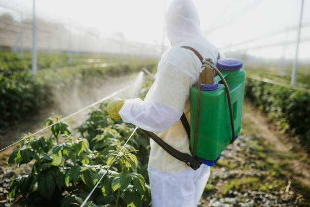 Best Bed Bug Extermination  in Lorado City, CO